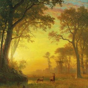 Albert Bierstadt Orman Işıkları Kanvas Tablo